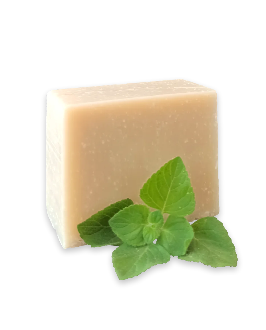 olvo castile peppermint