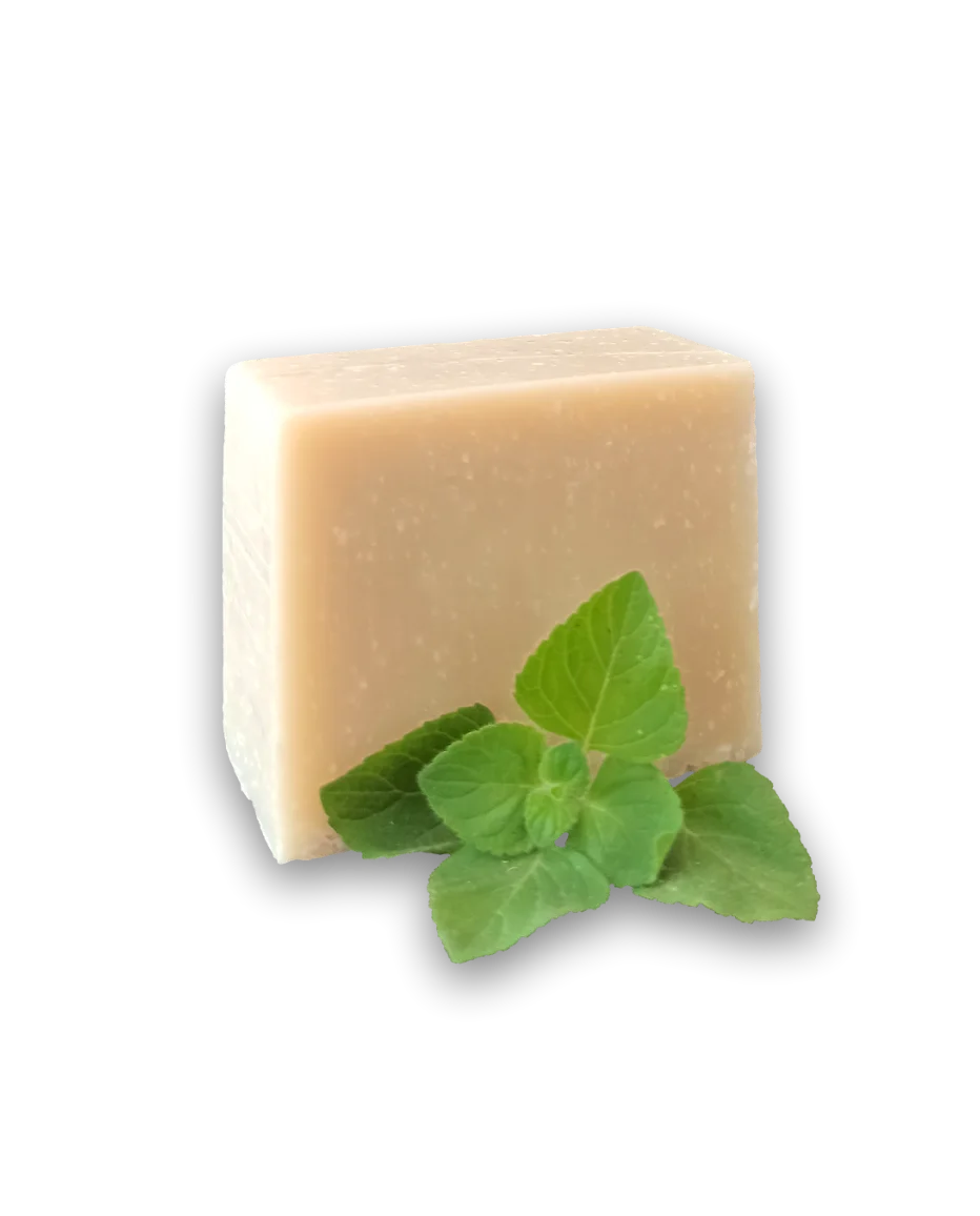 olvo castile peppermint