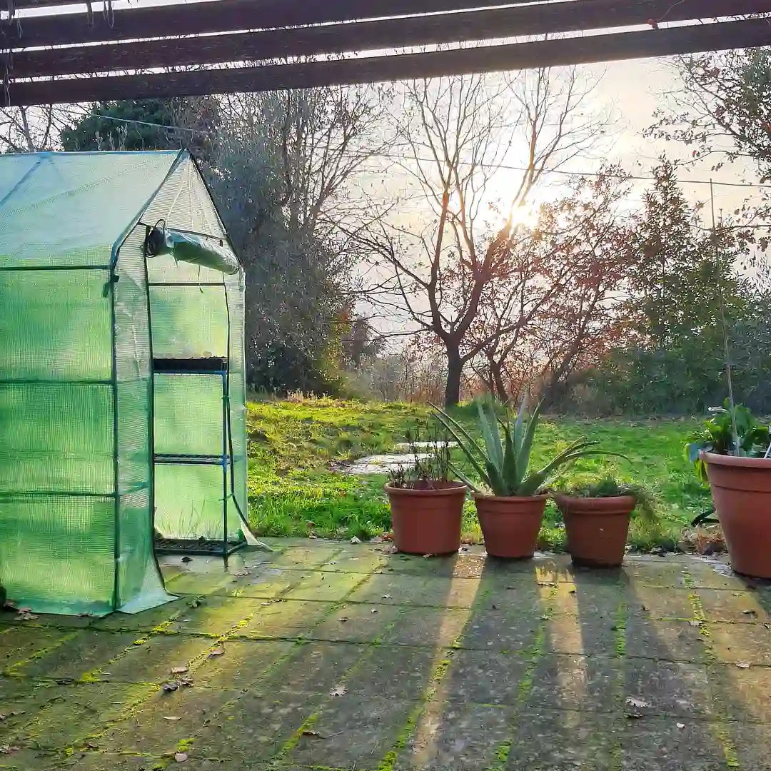 olvo business olvo business