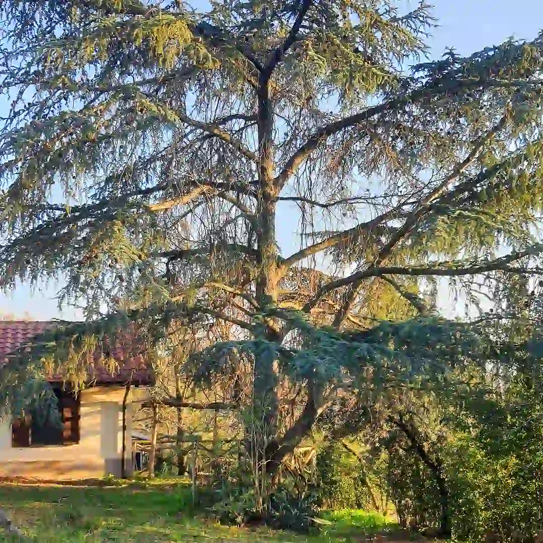 olvo business olvo business