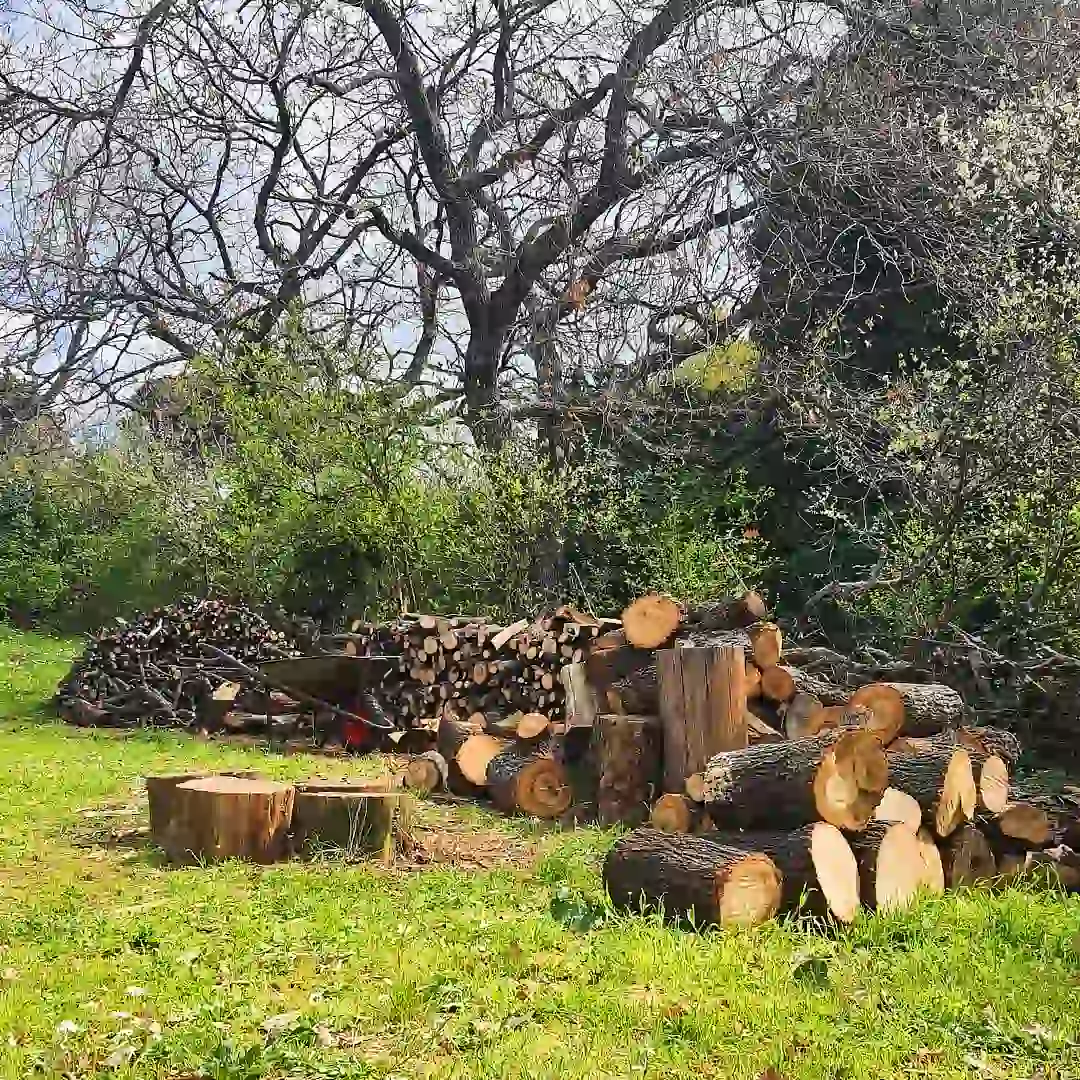 olvo business olvo business