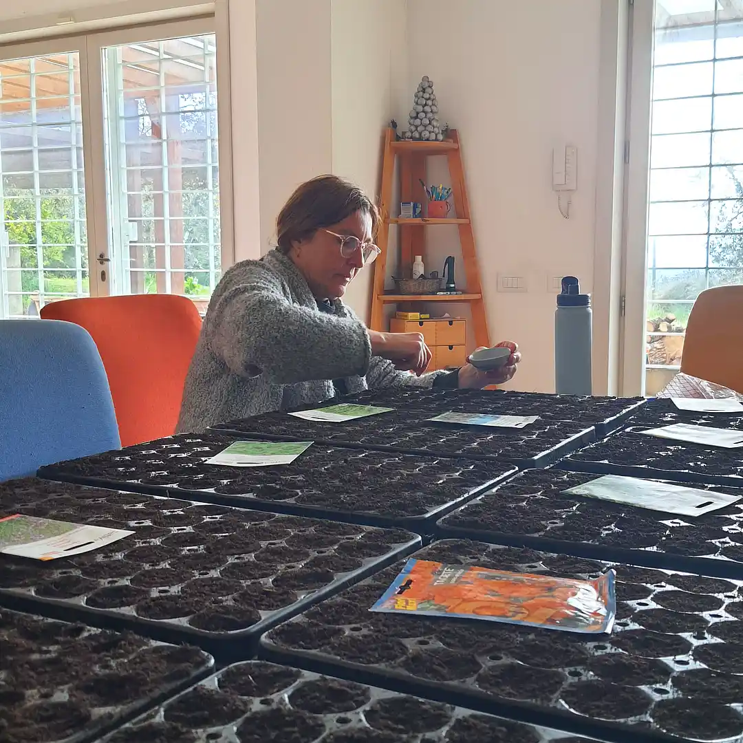 olvo business olvo business