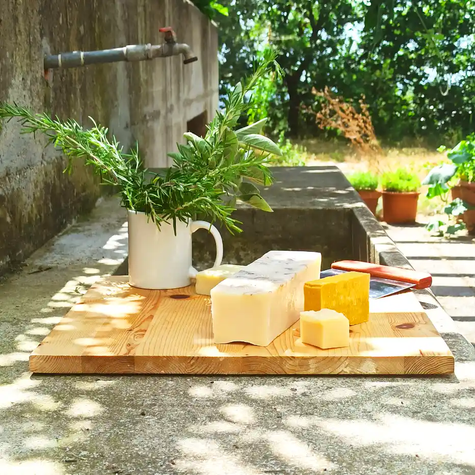 olevo 3lt bio branch sq